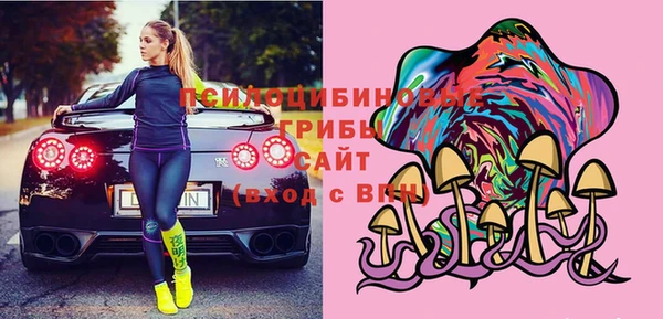 ПСИЛОЦИБИНОВЫЕ ГРИБЫ Волосово