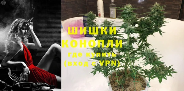 ПСИЛОЦИБИНОВЫЕ ГРИБЫ Волосово