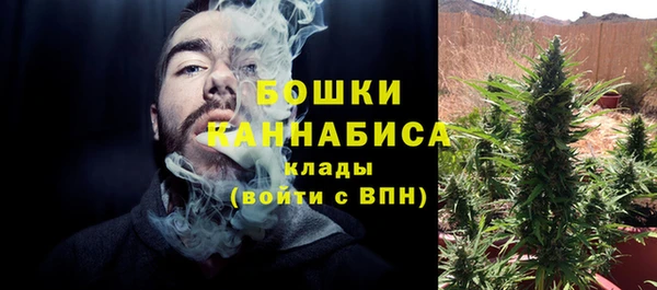 ПСИЛОЦИБИНОВЫЕ ГРИБЫ Волосово