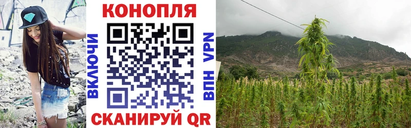 МАРИХУАНА OG Kush  блэк спрут как зайти  Бердск 